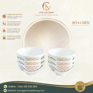 Bộ 6 Chén Cơm Sứ Minh Châu Vẽ Hoa Cam